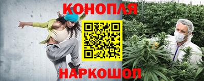 ALPHA PVP Ставрополь