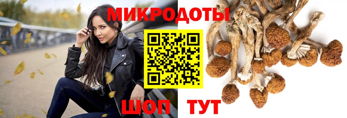 Псилоцибиновые грибы прущие грибы  Вход с VPN  Ахтубинск 