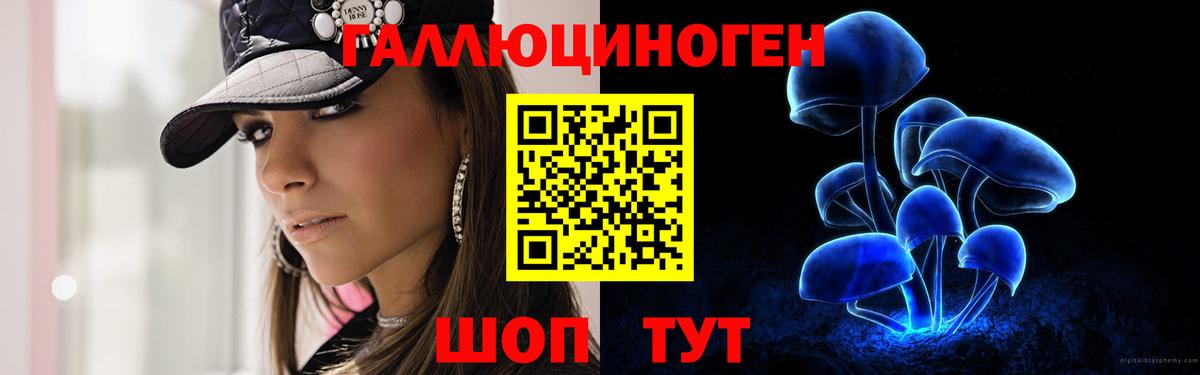 Галлюциногенные грибы Psilocybe Ахтубинск